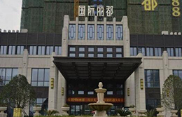 湖北武漢國際麗都樓宇對講工程